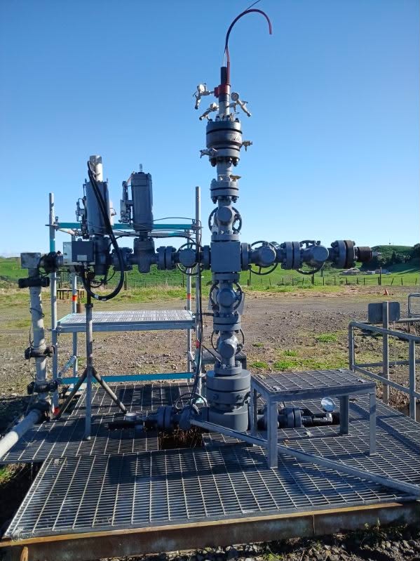 Oil and gas wellhead equipment